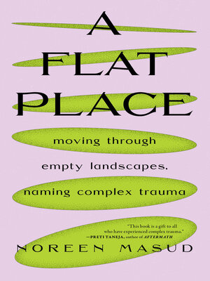 cover image of A Flat Place